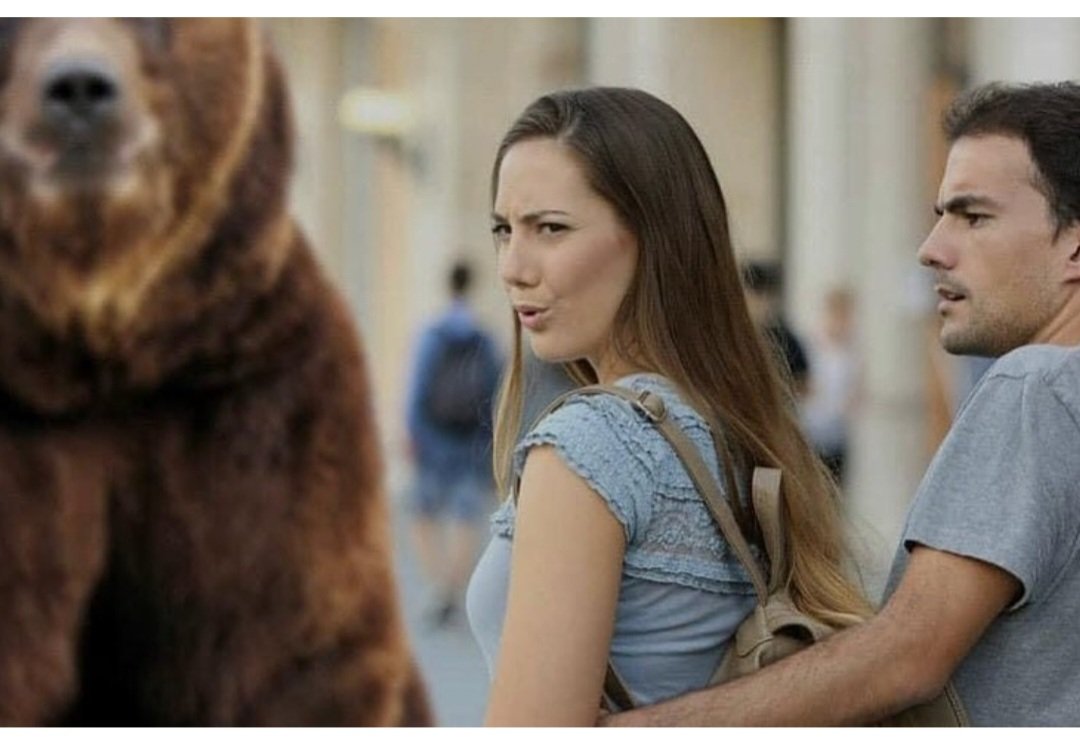 Bears > Men
That's the state of things in 2024.

#bearsovermen #womenchoosebears #saferthanmen #notallbears #womenssafety #violenceagainstwomen #genderbasedviolence #bears #thestateofthings
 Send @gigolosloth 🙌