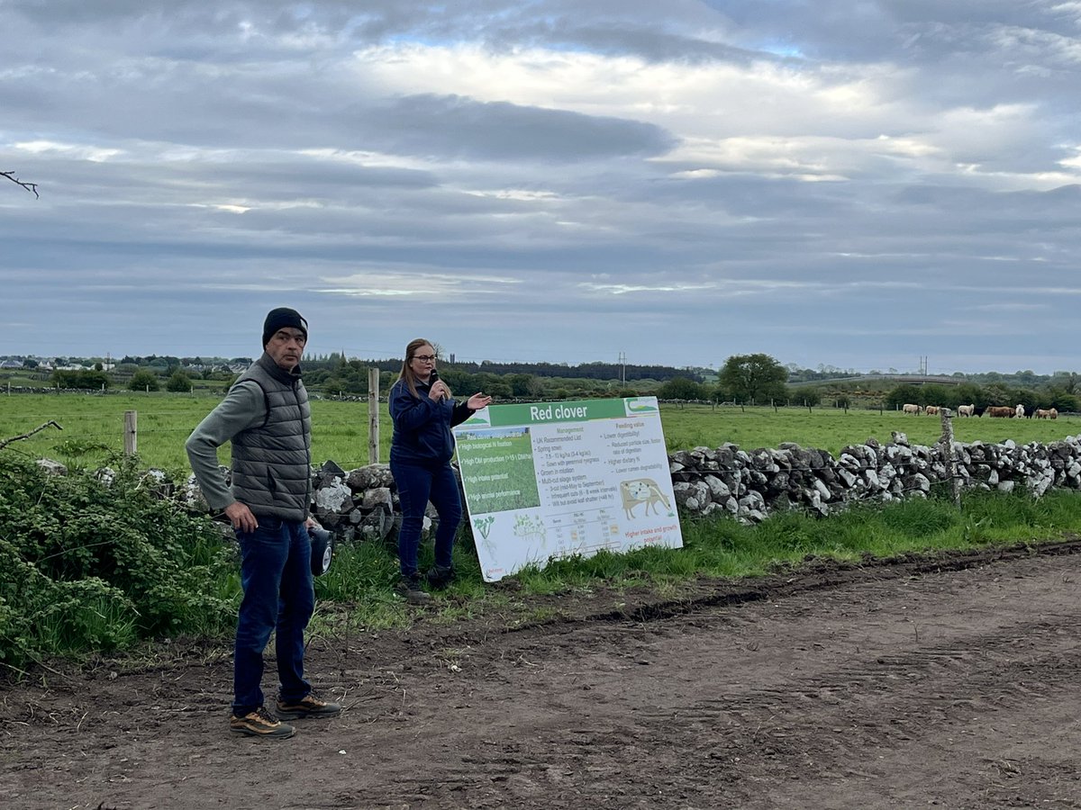 Great interest in reseeding demo in Tuam this evening. Red Clover, MSS, reseeding techniques, soil health/fertility and organic regulations covered in great detail. Thank you to hosts Padraig & Brendan Dunleavy for hosting us and to John Noonan, Teagasc,Ballina for organising