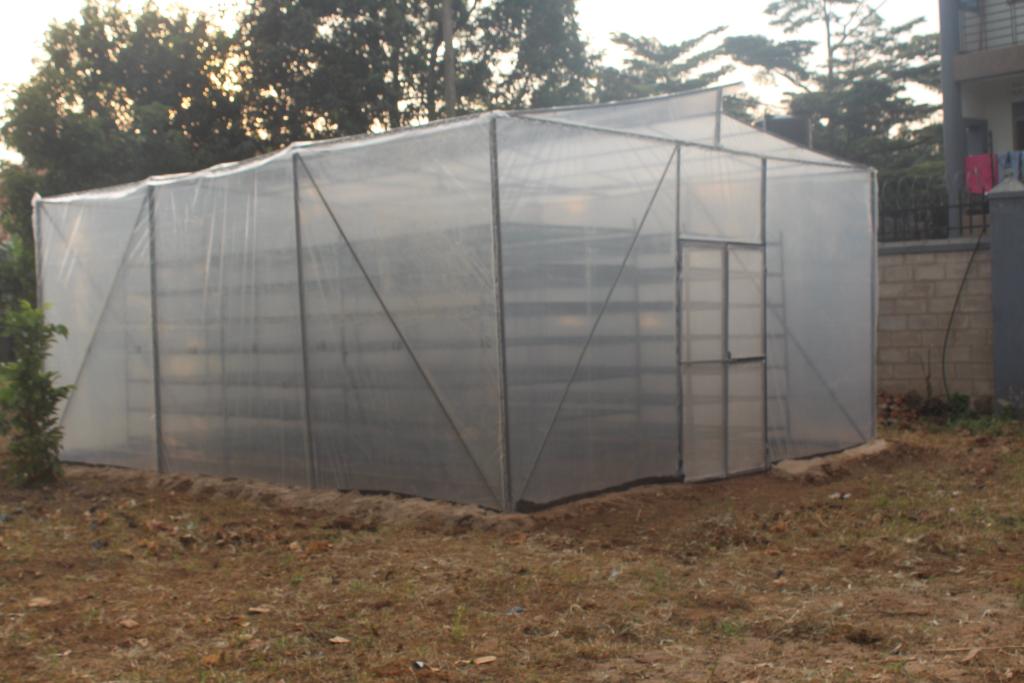 Introducing solar dryer by #KwanzaEnergySolutions the sustainable solution for drying legumes, tubers, and fruits. Say goodbye to traditional methods and transform to efficient and eco-friendly drying.#drying #sustainability .
