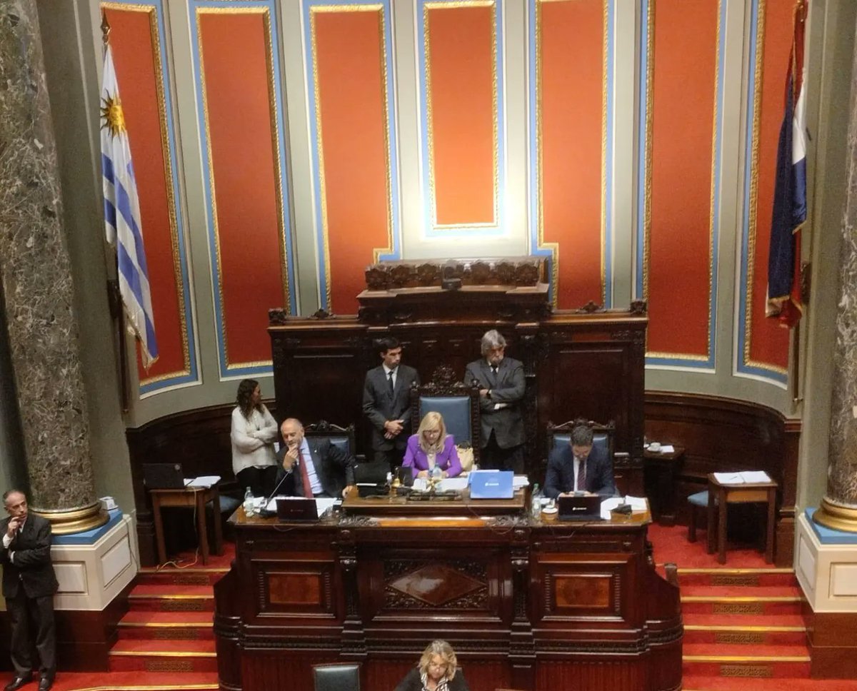 Integrantes de la RDMP, referentes de la Academia y <a href="/ONUMujeres/">ONU Mujeres</a> siguieron desde las barras del Senado el tratamiento del Proyecto de Ley sobre Paridad, promovido por la  <a href="/gloriasaravista/">Gloria Rodriguez</a>.