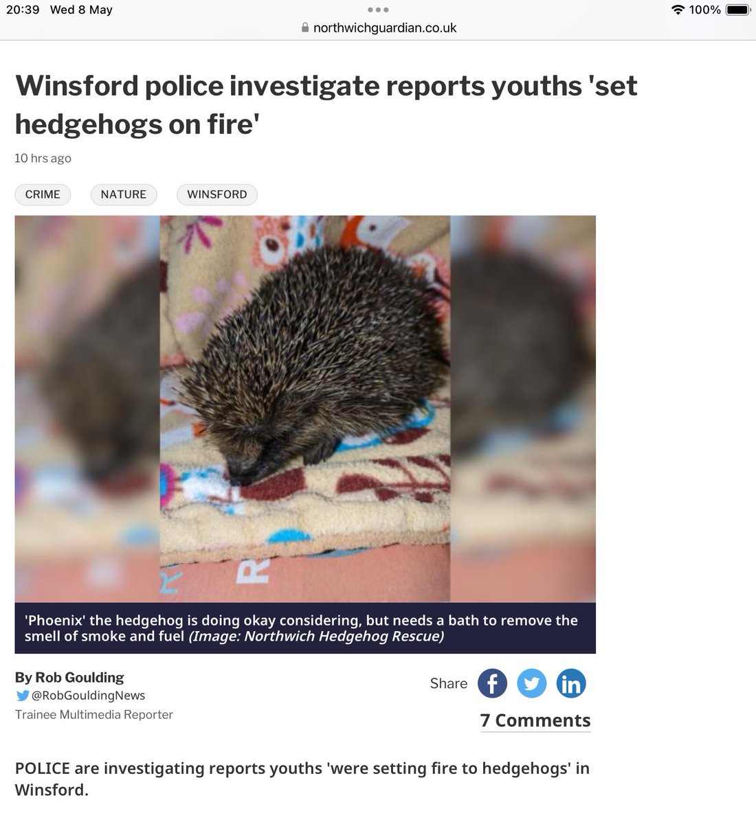 I’m still trying to get an iconic species in serious decline greater legal protection. Acts of violence & torture continue unabated across the UK even during #HedgehogWeek My petition to add #hedgehogs to Schedule 5 Wildlife & Countryside Act 1981 now has almost 213,00…
