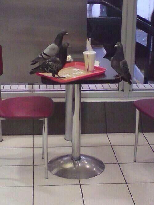 When you turn up for the job interview at McDonalds, but they've already given it to the pigeon