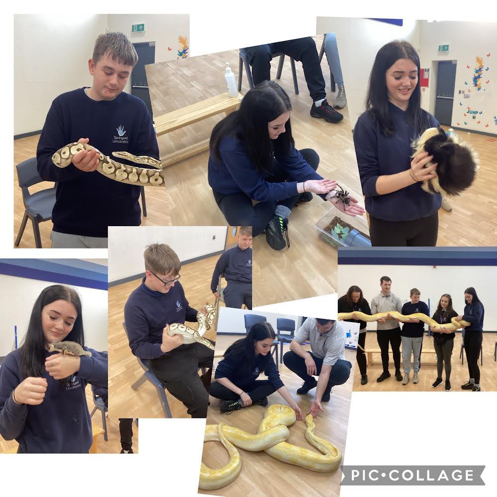 SAAG thoroughly enjoyed their exotic animals encounter in enrichment. Lots of pupils overcoming fears along the way #wemakeadifference #WowWednesday