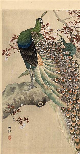 Two green peacocks on the bough of a flowering tree, by Ohara Koson, ca.1910

#shinhanga #peacock #CherryBlossoms