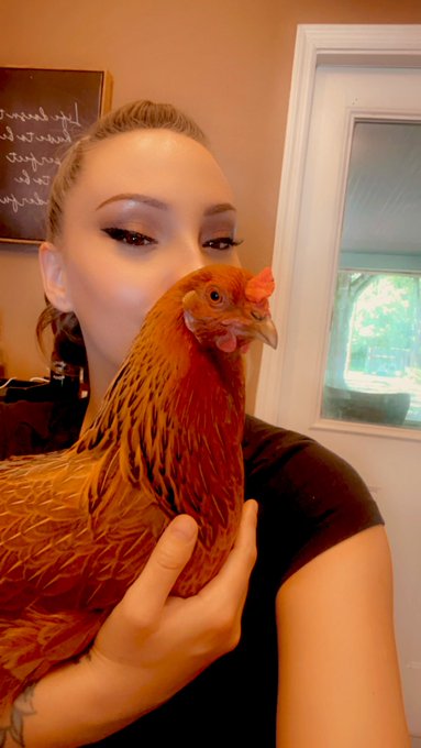 Yes I bring my chicken inside to hang out while I edit. No she doesn&rsquo;t act crazy or poop everywhere.<a href="/tag/ruinedblowjob"class="tags"><span>#ruinedblowjob</span></a>
