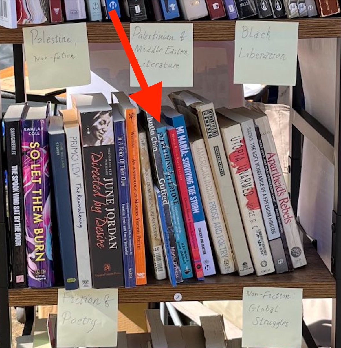 Eman Abdelhadi is the Babe Ruth of revolution and Palestine liberation. She’s calling her shot. The UChicago Gaza solidarity encampment’s library had a copy of her book, Everything for Everyone. In this novel’s utopian future, the first commune was created in Palestine. 🧵1/5