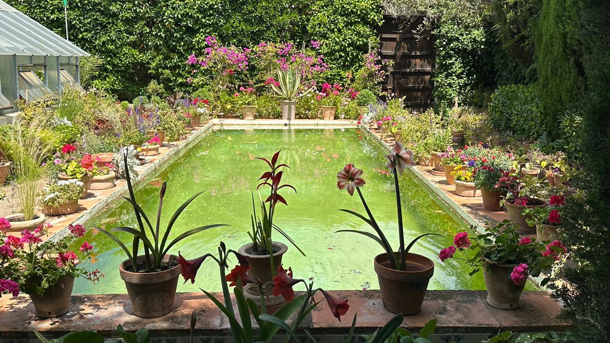 Jornada de puertas abiertas en el @PalaciodeViana 🌸🌿🌼🌺🪻 “Doce patios que recogen cinco siglos de historia” 👇🏽 7tvandalucia.es/andalucia/noti…