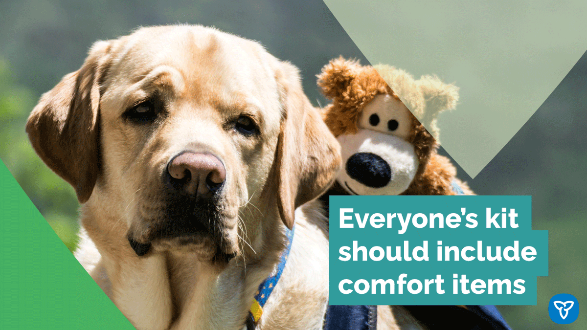 Emergency kits should include comfort items. From a favourite snack to a small family heirloom or your pet’s most treasured toy – include items that will keep everyone in your household calm & comfortable during an emergency. #EPWeek2024 #Plan4EverySeason #PreparedON