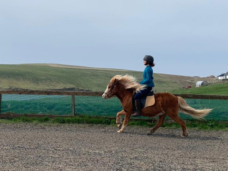 Most of my riding photos are taken from onboard, so it is lovely to have one of me and Perla. I am very grateful to this little mare for her kindness and patience ❤️ #Shetland #Icelandichorse
