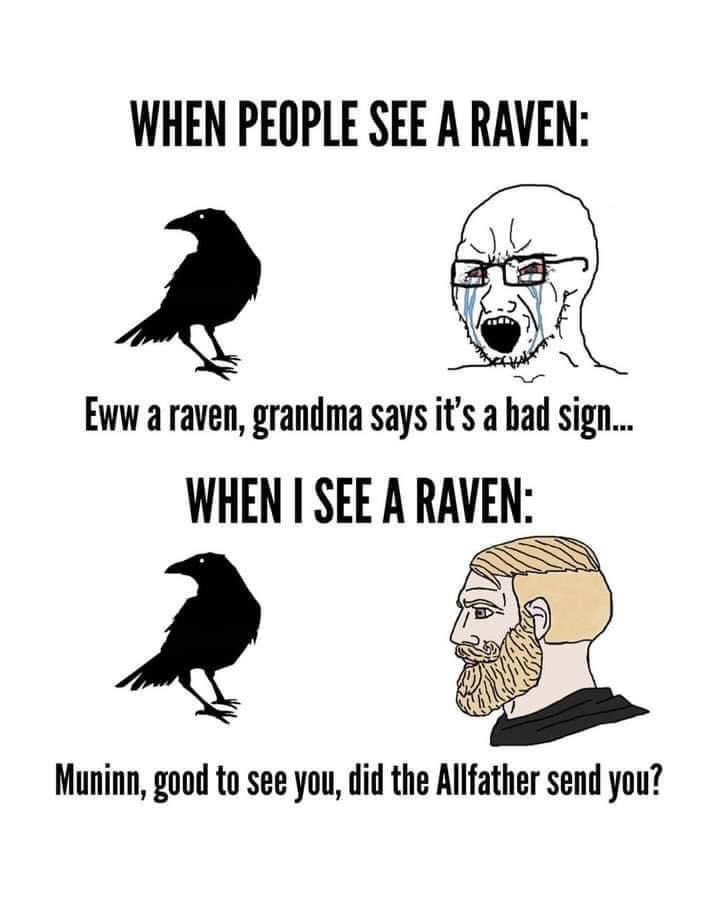 Who doesn’t love ravens?

#vikings #norsemythology