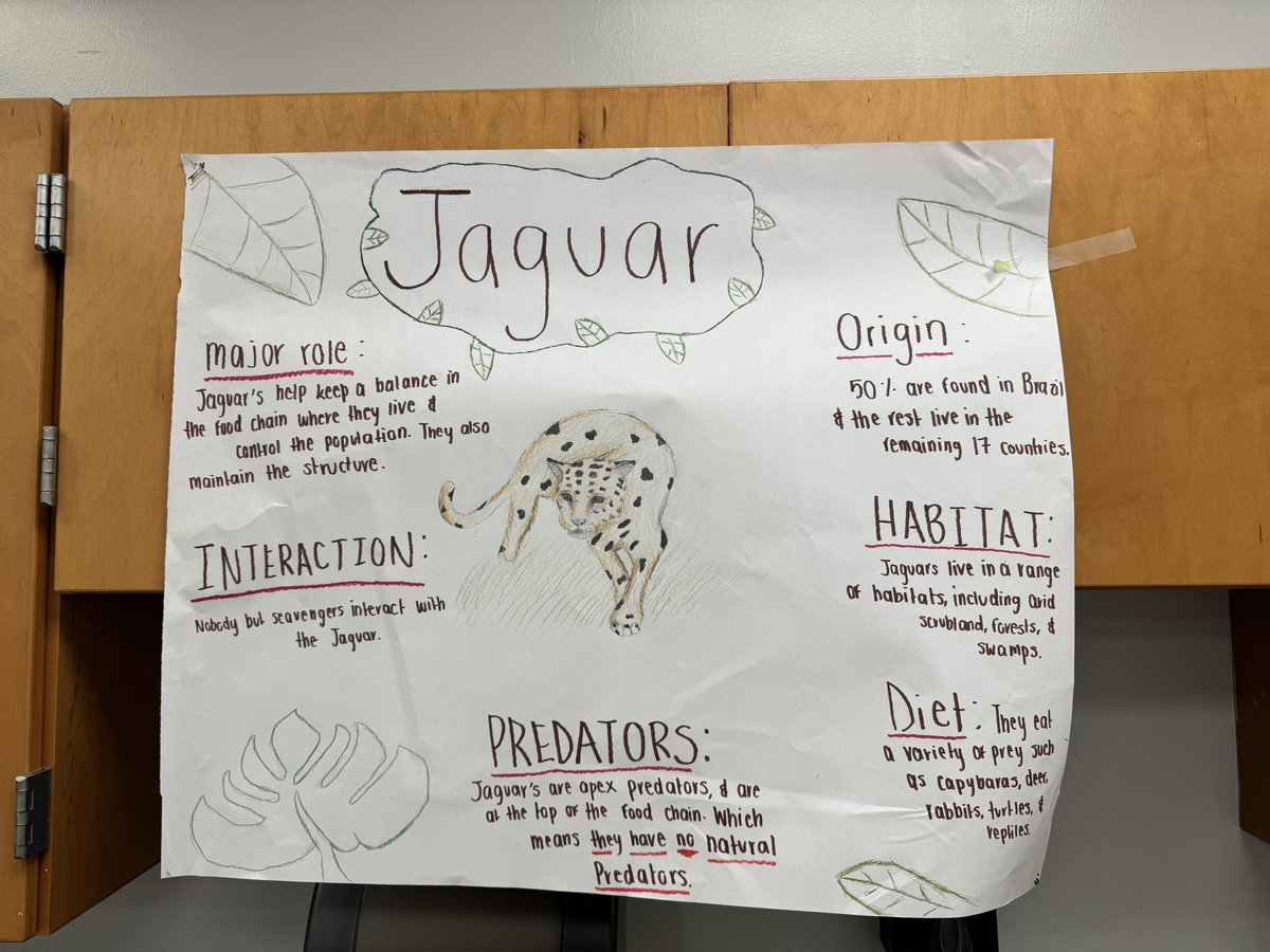 MrNicholsBio's tweet photo. (1/2) these past two days students have been learning about how some organisms, called “keystone species,” control the balance in ecosystems. They worked hard to make informational posters about these organisms, here are some highlights! https://t.co/W8VuFoAKCM