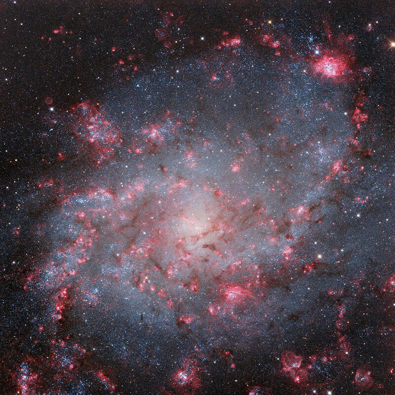 An extraordinary photo captured by Adam Block, showcasing the captivating beauty of M33. This image meticulously highlights the mesmerizing star-forming regions and remnants of supernovae within the vast expanse of the Triangulum Galaxy.