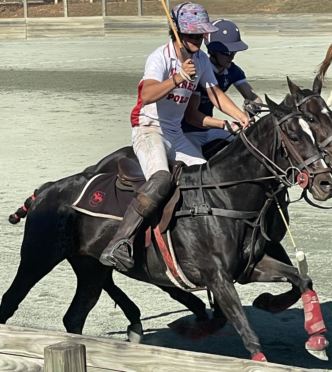 Every year, Arthrex donates up to two dozen ACP and ACP Max™ kits to @Cornell University, one of the oldest and most storied intercollegiate polo teams in the country, to help keep their horses in the best shape for competition. #Arthrex ACP Max™ (autologous conditioned