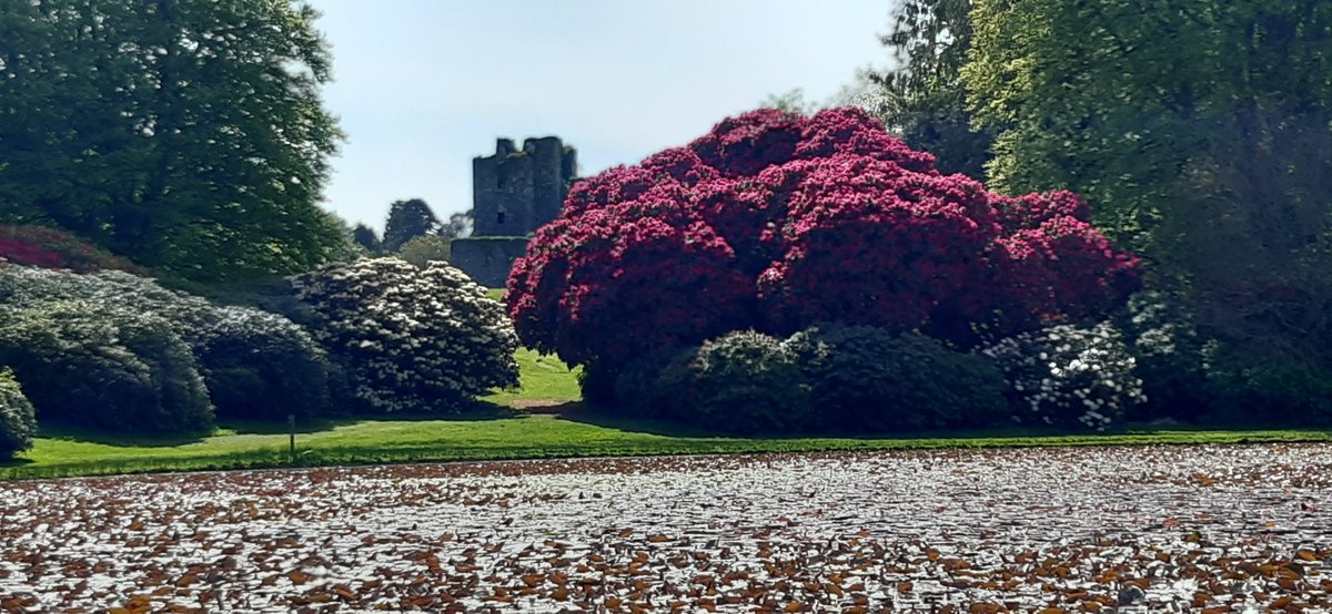 BloodyPolitics's tweet image. Dumfries &amp;amp; Galloway is ready to see you now 🌞 

#DGWGO #ScotlandHour