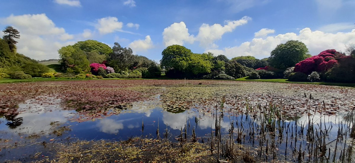 BloodyPolitics's tweet image. Dumfries &amp;amp; Galloway is ready to see you now 🌞 

#DGWGO #ScotlandHour