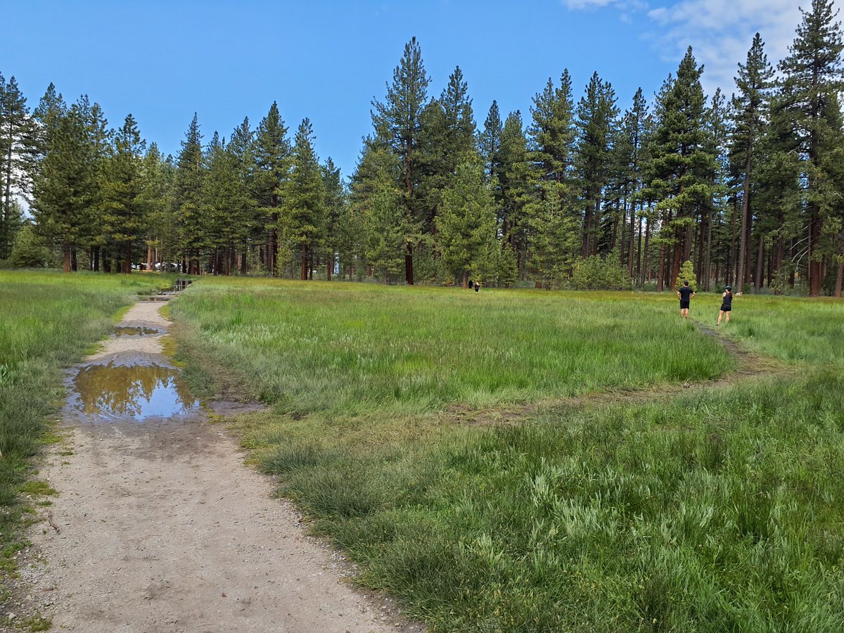 Spring in the mountains typically means wet/muddy trail conditions. Practice good habits by staying on trail in wet areas. Wandering off the beaten path creates new paths that could confuse others and cause damage to fragile areas like meadows/wetlands. #doyourpart #leavenotrace