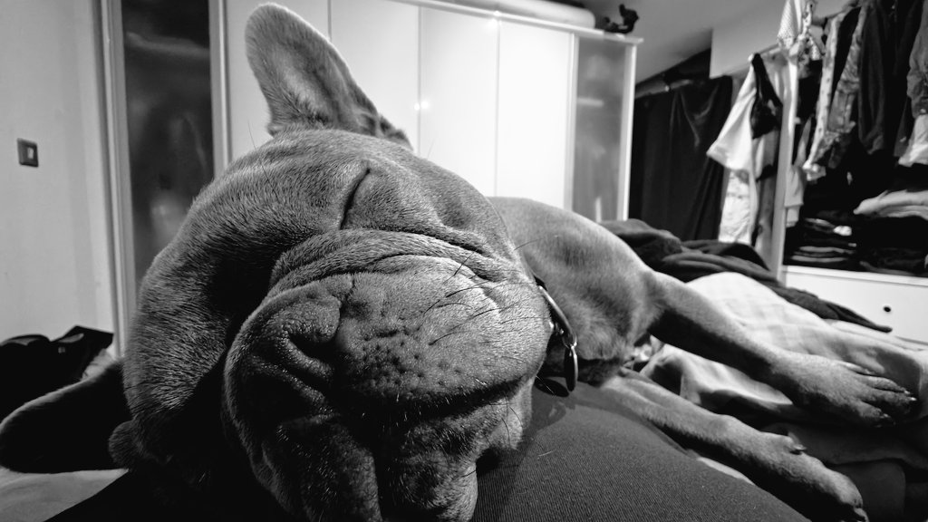 I don't care what anyone says my little guy is beautiful