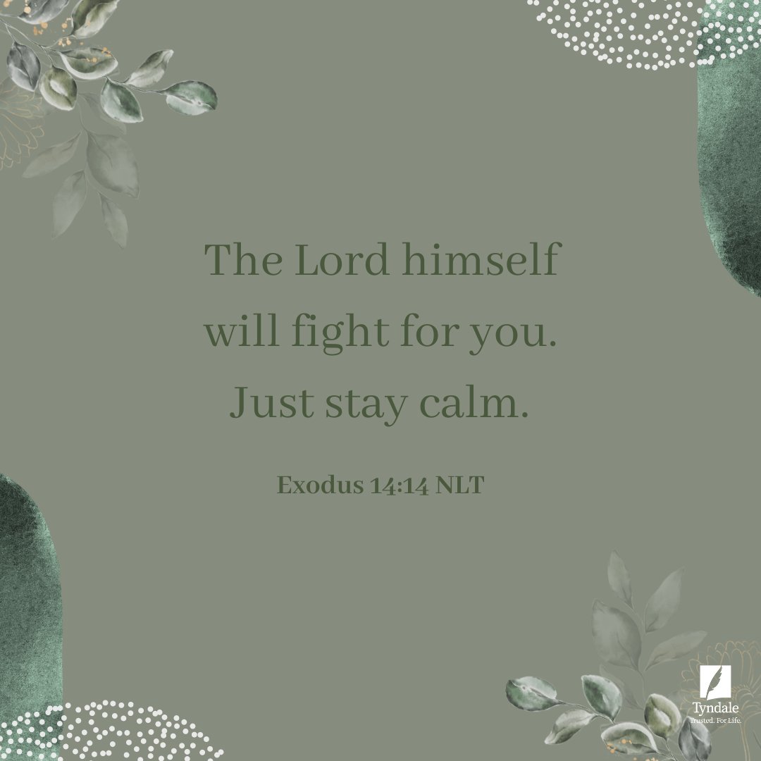 'The Lord himself will fight for you. Just stay calm.' Exodus 14:14 NLT