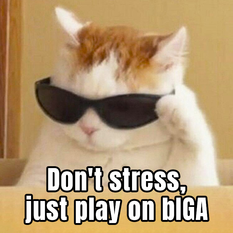 BIGA tweet media