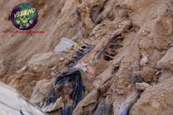 LadyAfro17's tweet photo. 8 maggio 2024, Palestina
AL-SHIFA: TROVATA UN'ALTRA FOSSA COMUNE
Oggi è stata scoperta una nuova fossa comune nei cortili di #Al_Shifa..
#Israele non solo sta prendendo di mira i civili a #Rafah, ma sta cercando di nascondere i suoi crimini di guerra in tutta #Gaza.
#8maggio #9maggio #Palestine #Gaza #GazaGenocide #EurasiaNews #Medioriente
#ThisIsNotForMe #NotInMyName
#NonInMioNome
https://t.co/gPzY3rCxAv