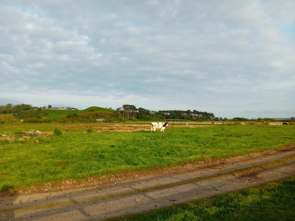 Rebecca Allan tweet media