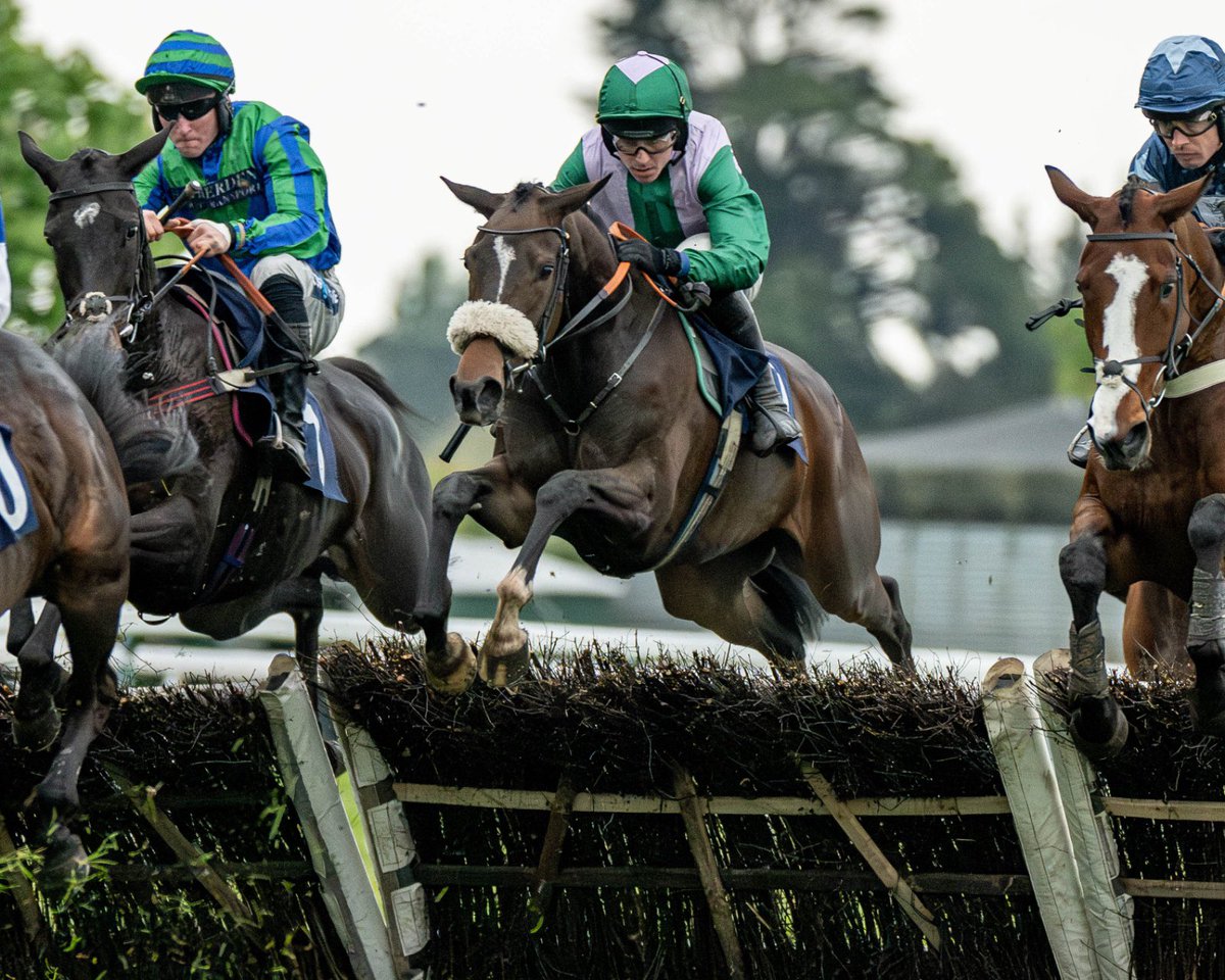 Fontwell Park (@fontwellpark) on Twitter photo Race 7 Result: starsportsbet.co.uk Mares' Novices' Limited Handicap Hurdle (Div II)
π Al Sayeh
Jockey: Bryan Carver
Trainer: <a href="/Neil_Mulholland/">Neil Mulholland</a>
Owner: Jane Nuala Cartwright
πΈ <a href="/dcoolimages/">Darren Cool Images</a> Race 7 Result: starsportsbet.co.uk Mares' Novices' Limited Handicap Hurdle (Div II)
π Al Sayeh
Jockey: Bryan Carver
Trainer: <a href="/Neil_Mulholland/">Neil Mulholland</a>
Owner: Jane Nuala Cartwright
πΈ <a href="/dcoolimages/">Darren Cool Images</a>