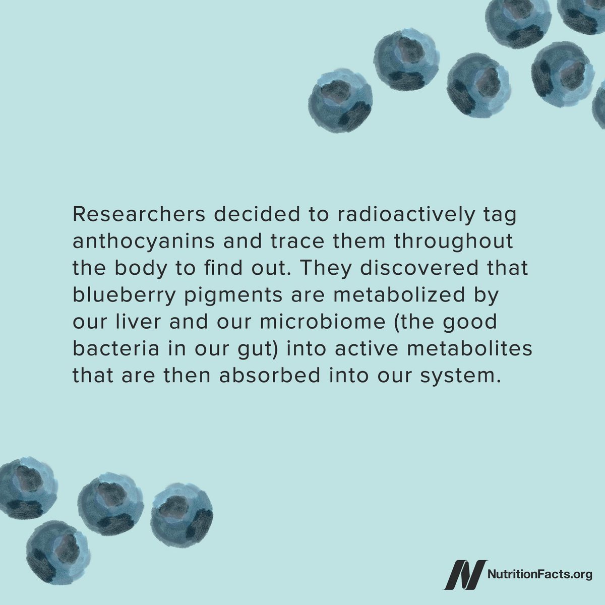 nutrition_facts's tweet photo. What is the optimum dose of wild blueberries to eat at a meal? https://t.co/p4QPfSAsbM https://t.co/pASE6dga0y