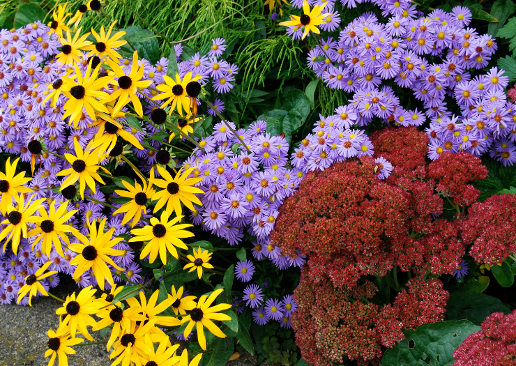 New to gardening? 🌷 Join our friends at the North City Water District this Saturday, May 11 and get quick tips for a beautiful & sustainable garden! Discover how to keep weeds out, pests at bay, water use low, and have color year-round. Learn more: ow.ly/KIU150RyQf1