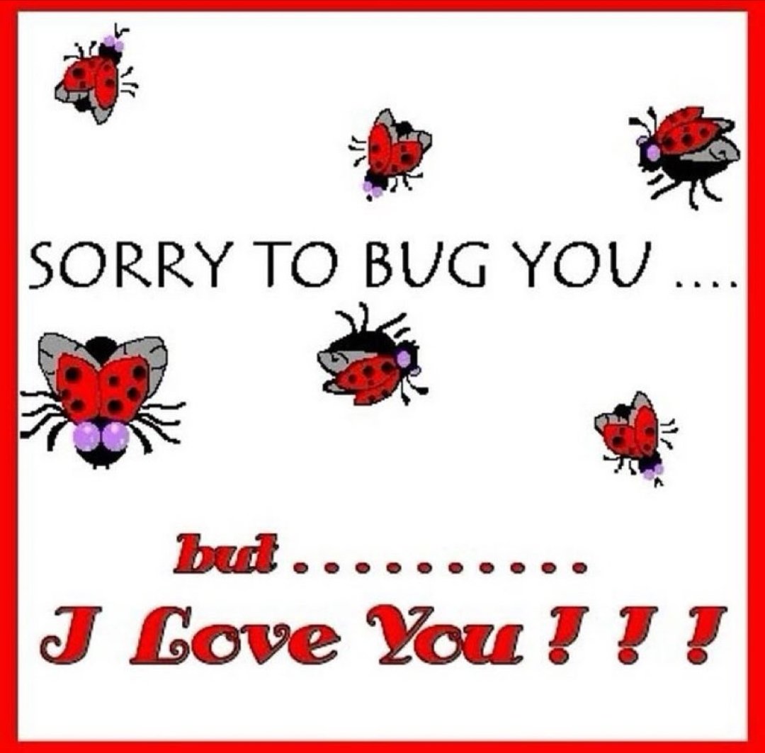 mr online (@absolunar) on Twitter photo 