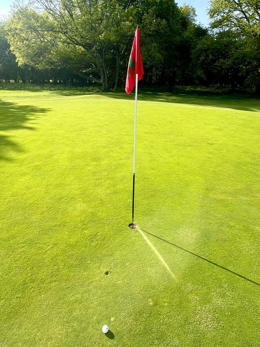 Second time in a week I’ve come close to a Hole in One…

I’ve had 4 in my life but they were all as a junior and the last one was 21 years ago!  

Have you ever had a hole in one? If so, where? Photographic evidence encouraged.. ⬇️ 

#golftwitter