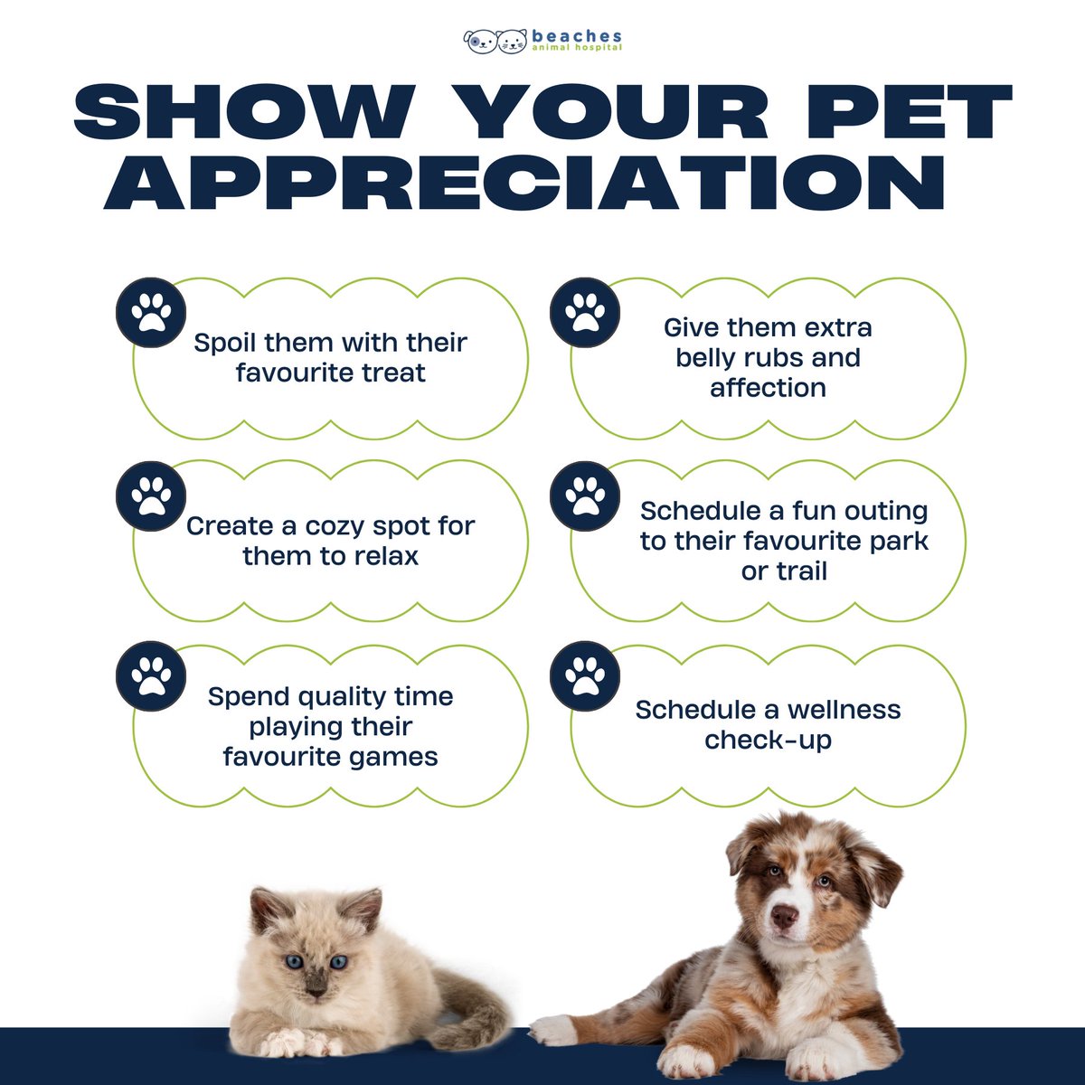 From playtime to pampering, these gestures ensure your pet feels cherished daily. How will you spoil your pet this week? Share your love in the comments! 💕 #PetAppreciationWeek

#love #instagood #cute #pet #petstagram #photooftheday #instamood #adorable #instapet