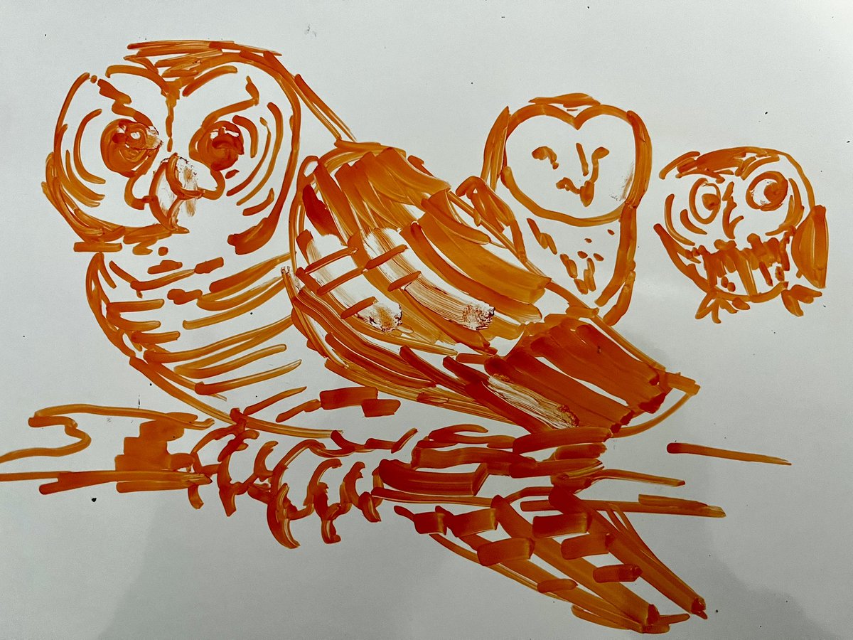Owlotd is going to be late (thank ap testing) have some owls I drew on the whiteboard