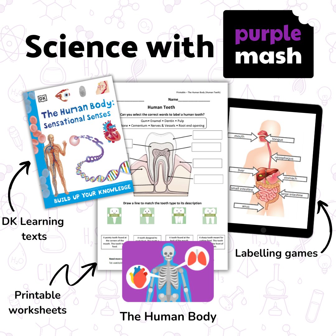 Looking for a range of engaging primary biological science resources? 👀 Look no further than Purple Mash!

Find out more 👉 2simple.com/au/purple-mash

#biologicalscience #primaryresources #AussieEd #VicPLN #NSWPLN #EdTech #EdChat