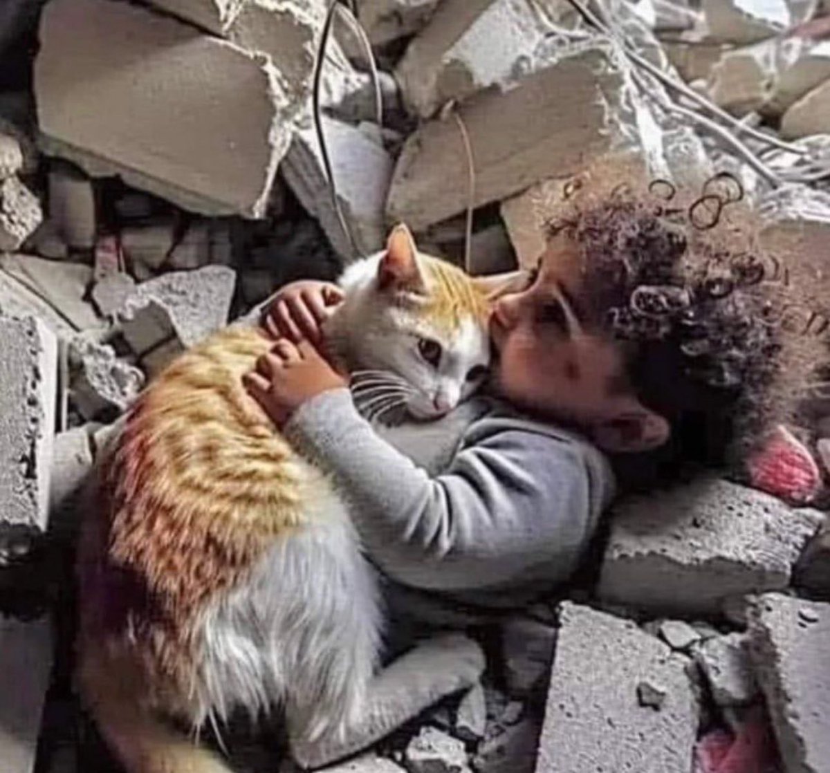 Masumiyet bir çocuğun katliamdan önce annesine sorduğu soruda saklıydı.. 

-Anne küçük çocukları küçük 
kurşunlarla vururlar değil mi? 

-Çünkü küçük kurşunlar canımızı acıtmaz.

#getoutofrafah