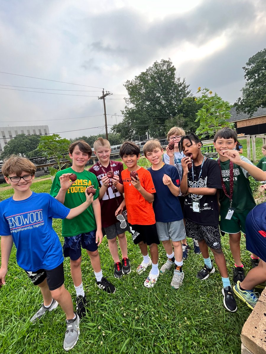 Potato Harvest!! 
Thank you Ms. Thomas for volunteering to prep and serve their harvest to student! #Fourthgrade harvested onions, herbs, and green beans to their #harvest as well! #organicgardening @readygrowgarden @SBISD @LizGoodman1 @WilchesterSBISD