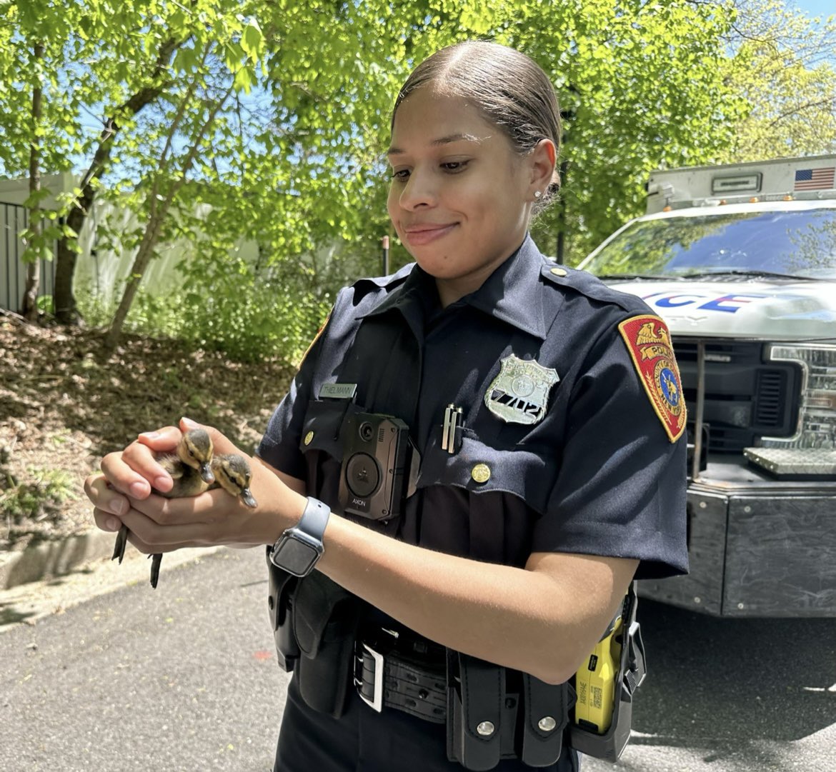 All in a days work for officers 👮‍♂️ 👮Justincic, Thielmann and Emergency Service.  They were alerted by Nesconset residents to baby ducklings trapped in a storm drain.  Thanks to everyone the ducklings 🐥 were reunited with their mother.