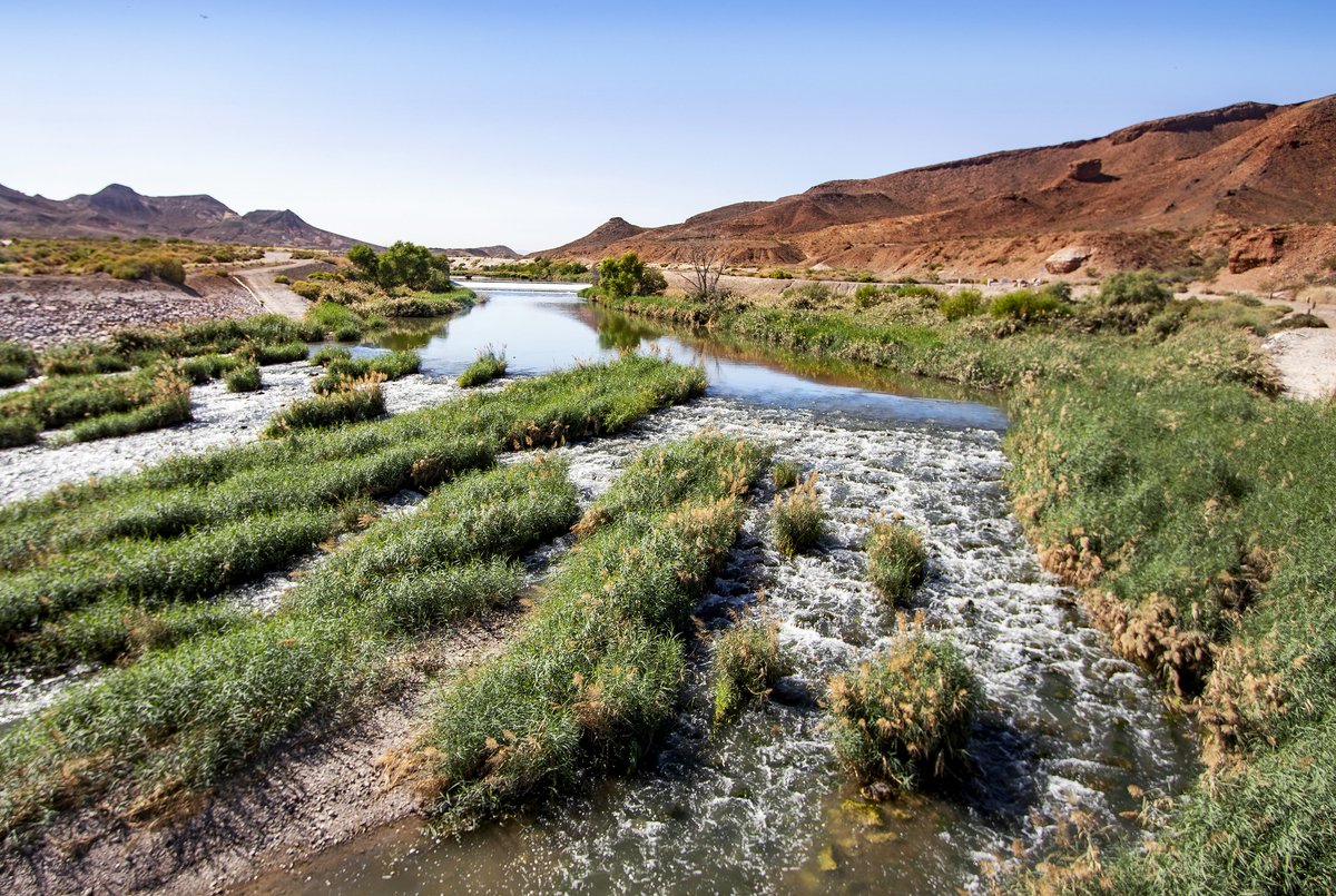 RegionalFlood's tweet photo. Water quality is a team effort. With the help of Southern Nevadans like you and collaborative projects from partner agencies, we can all help protect our community’s water resources.

Learn how you can play your part at https://t.co/gqbKtqpZr9 https://t.co/nBWlLBfZiu