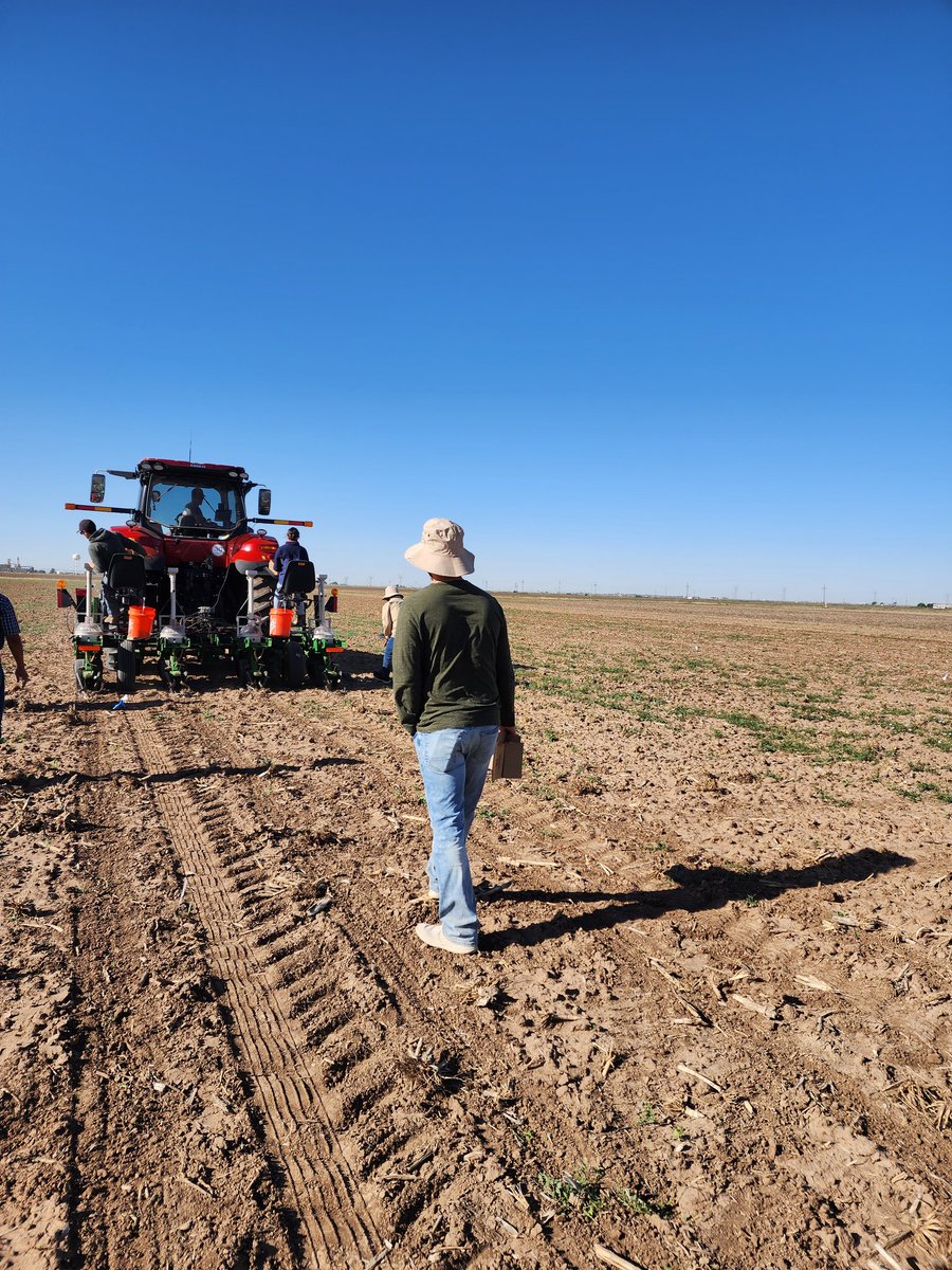 Just wrapped up planting our research plots featuring diverse grain sorghum inbreds, hybrids, and mutants🥳🥳🤩. Many thanks to @DrSorghum and his team for helping with the planting.🙏🥳🥳 @KJagadish_TTU #ThanksTeam #CropForageSystemsLab @TTUDAVISCOLLEGE