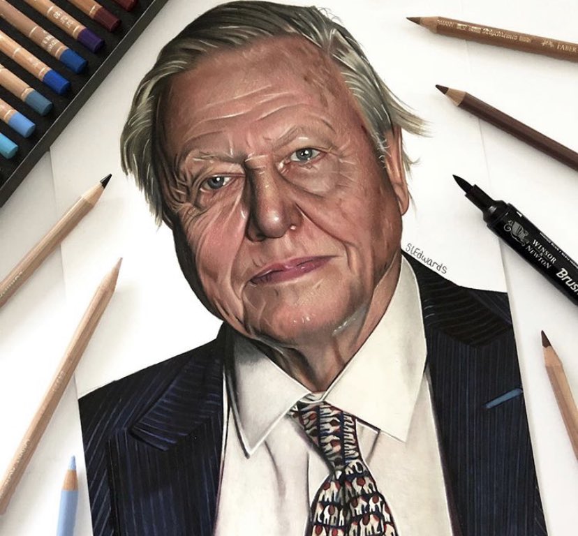 Drawing I have done of Sir David Attenborough. Please share 😊 #SirDavidAttenborough