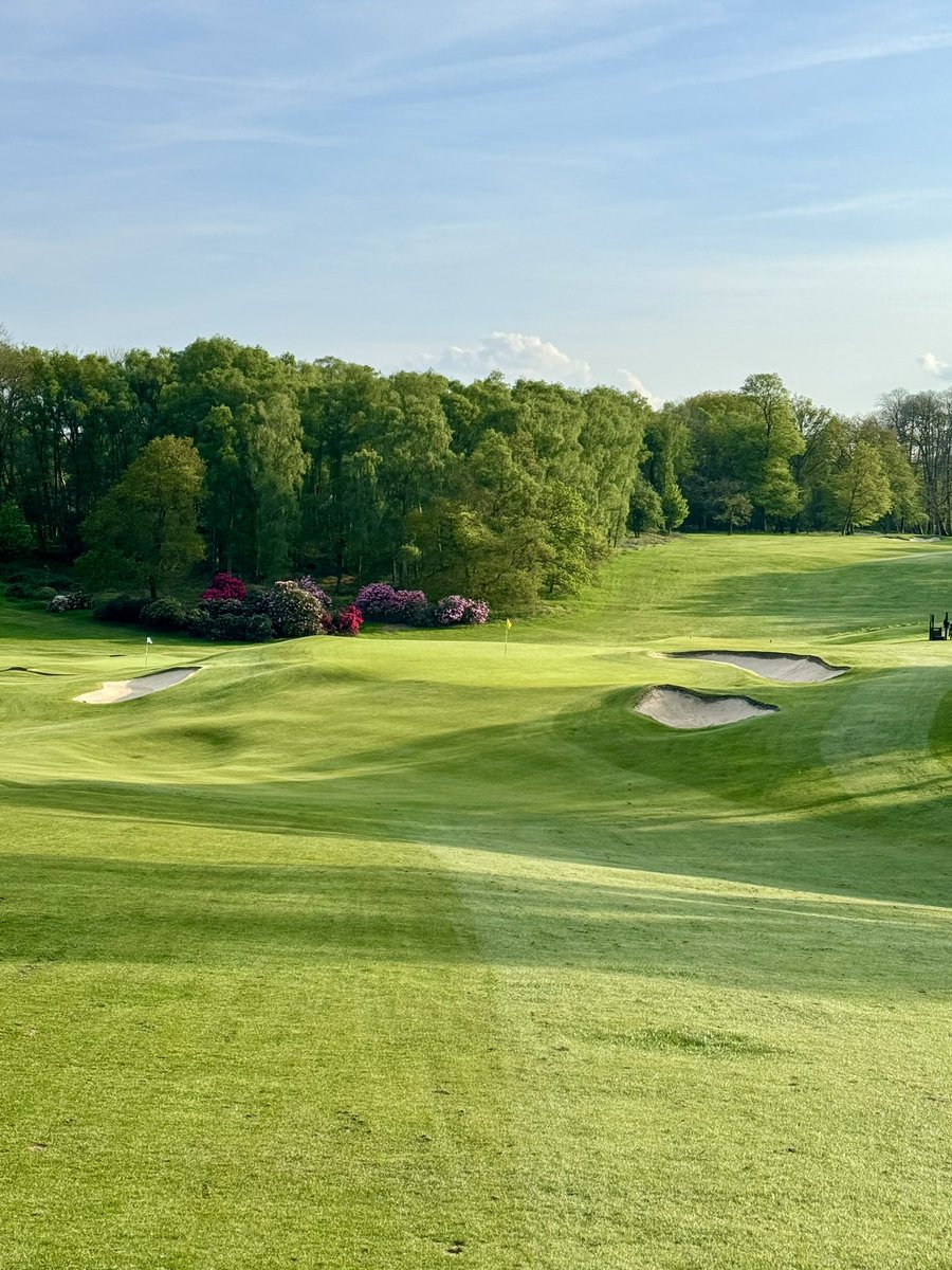 Tom Simpson once again making moves to be considered for my favourite architect. I’ve always been a nailed on Colt guy, but Simpson really caught my imagination when I visited County Louth and his work at Ashridge (pictured) is quite simply masterful… 

#golftwitter