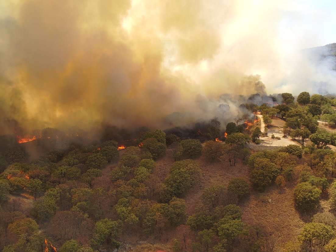 #AlMomento Nuestras brigadas y elementos de @SemadetJal y OPD Bosque la Primavera 👨🏻‍🚒🧑‍🚒 atienden un incendio forestal dentro del ANP de la Primavera cercano a San José de la Montaña. Por favor, cedan el paso a las unidades de emergencia. 🚒 📸/EscuaDron @PoliciaZapopan