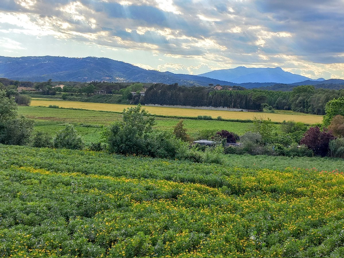 Verd vers
de primavera exuberant,
que rima en assonant
i alterna a cada estrofa,
ara nitidesa i intensitat,
ara lluents maragdes
arrenglerades
a l'ombra dels núvols
i les muntanyes. 

Paisatge a prop de les finestres,
no calen llunyanies exòtiques.