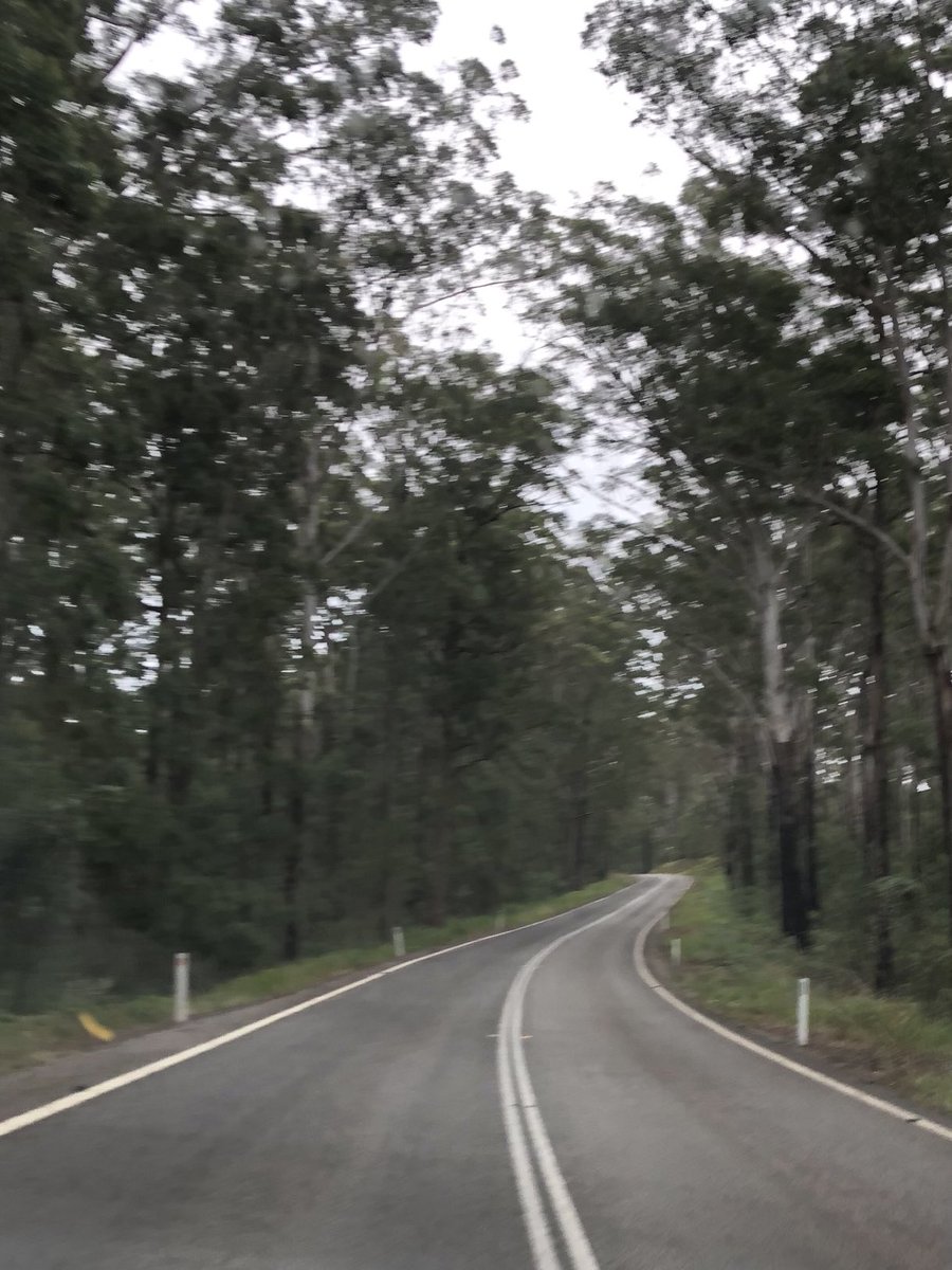 Today: brought to you by yesterday. Not a particularly good photo but the Esk-Hampton (greater Toowoomba) Rd was fabulous. Ravesbourne NP, Lake Perseverance & Deongwar State Forest. Up on to the Great Dividing Range - a wonderful drive.
