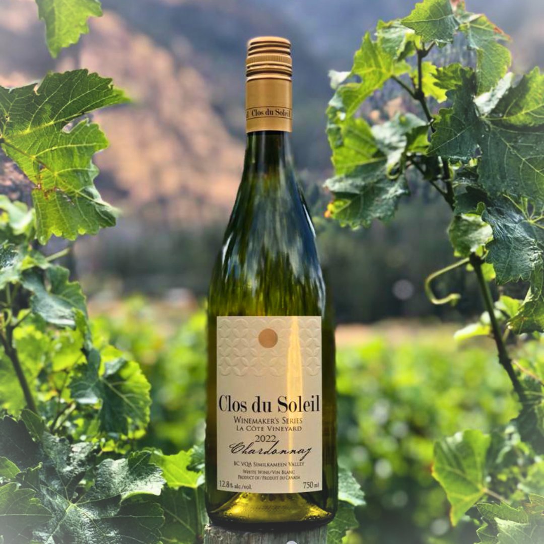 What pairs well with sunny weather? Bottled Similkameen sunshine... #ClosduSoleil Chardonnay 2022 fits the bill perfectly! Flavours of lemon, pineapple, apple; bright acidity, a crisp mineral backbone, & a hint of spice. closdusoleil.ca/product/2022-w… #bcwine #winewednesday