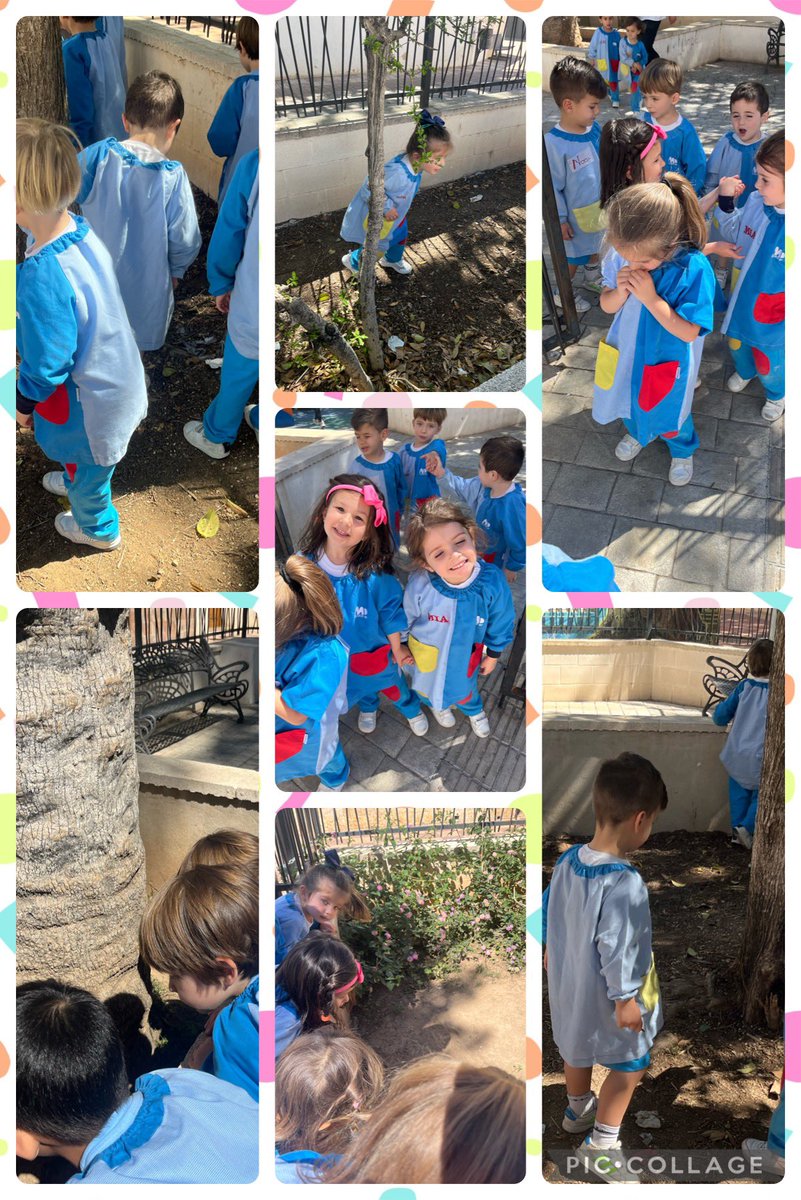 En P.3 complementamos nuestro proyecto explorando zonas cerca del cole🔎.Hemos ido en busca de insectos🪲🐜🐞 para observar de cerca todas sus características. Ha sido muy divertido 🌈