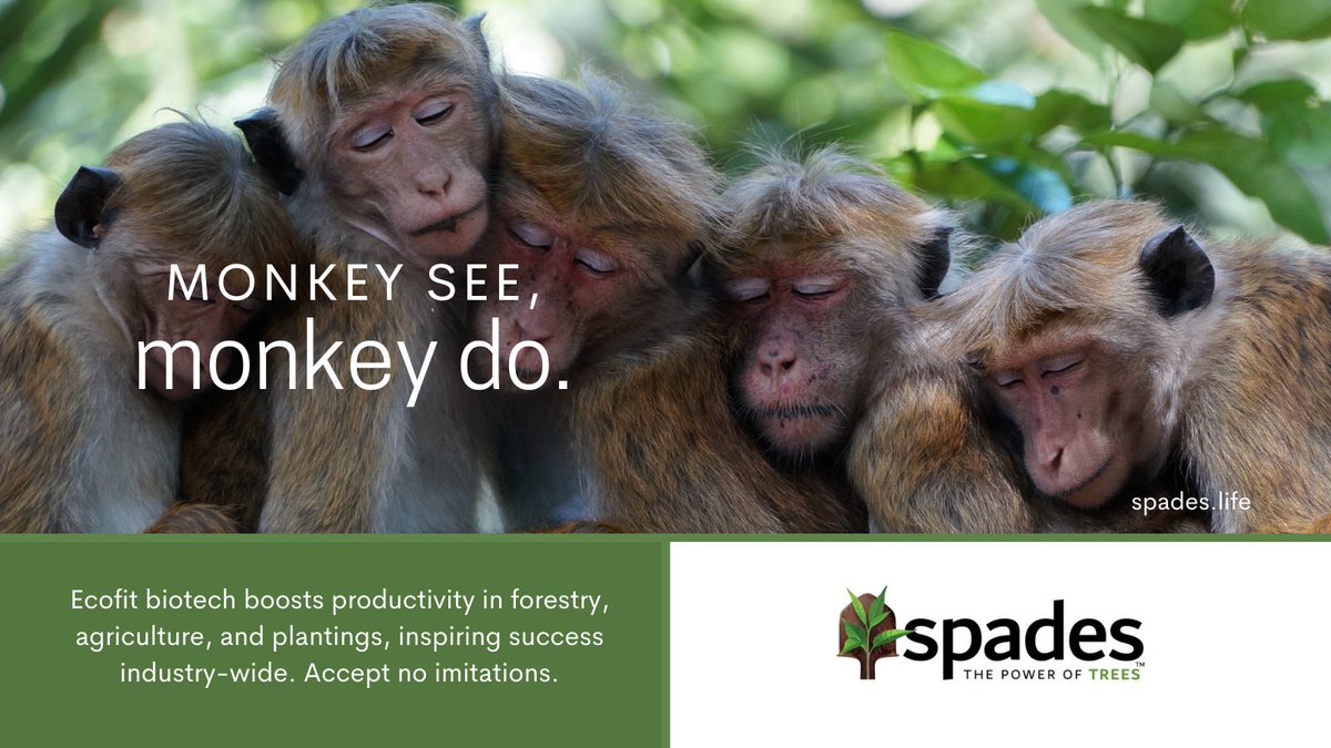 Ecofit™ biotechnology by Spades is the game-changer in selecting biodiverse local tree species for today and tomorrow. Say goodbye to the herd mentality and hello to smart choices for a greener future. spades.life/solutions-over… #EcofitbySpades #SustainableFuture #PowerOfTrees