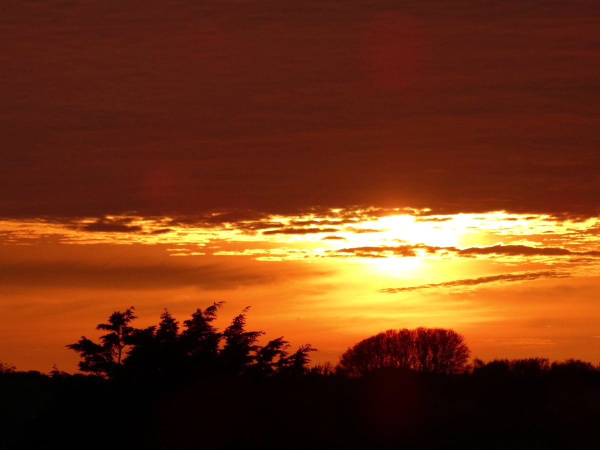 Evening silhouettes 🥰❤️ #sunset #home #Kernow #cornwall 💕