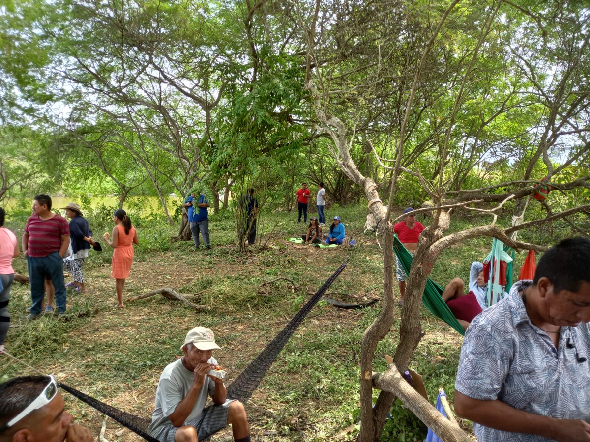 De los creadores de 'Pirotécnicos insonoros que suenan poquito' ahora llega 'Construimos 4 edificios sobre un bosque protector con bajo impacto y obviamos las normas' #EchoOlon

Con un estudio de impacto, que analice el manejo de impactos se puede determinar la intensidad.
1/2