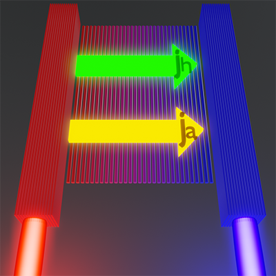 A universal one-parameter scaling theory is developed that describes transport behavior from the ballistic to the diffusive regime in multimode nonlinear photonic circuits. go.aps.org/3QwZppt