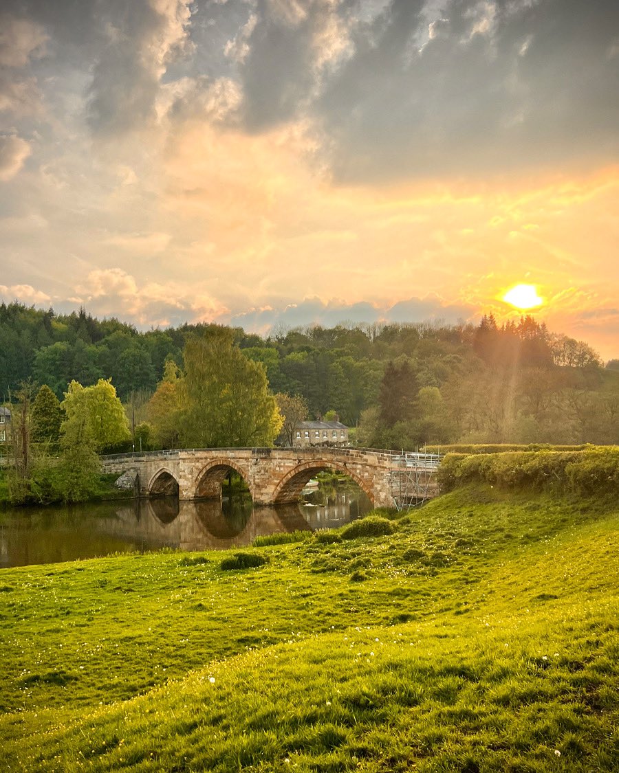 Spring has arrived in Yorkshire.